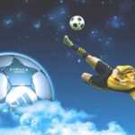 nha-cai-ca-do-bong-da